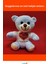 Kalpli Seni Seviyorum Yazılı Peluş Ayıcık 25 cm 2
