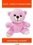 Pembe Yumuşak Peluş Ayıcık 25 cm Sevimli Oyuncak 1