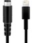 Lightning To Mini-Dın Cable 1