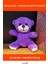 Mor Peluş Yumuşak Oyuncak Ayıcık 25 cm Sevimli Hediye 1