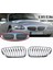 Ön Çit Izgara Izgara Abs Chrome For-Bmw Z4 E85 E86 2003-2009 51117117757 511171177758 (Yurt Dışından) 4