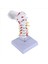 Servikal Vertebra Atardamar Omurga Spinal Sinirler Anatomik Model (Yurt Dışından) 2