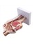 Çalışma Için Insan Anatomik Burun Boşluğu Boğaz Anatomisi Modeli (Yurt Dışından) 3
