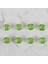 Loren Crafts yeşil 8 li düğme - 247 2