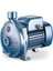Cpm 158 Tek Fanlı Santrafüj Pompa 5.4 M³/h 36 Mss 1