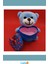 Yumuşak Peluş Mavi Kutulu Ayıcık 25 cm Hediye 3