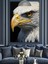 Beyaz Başlı Kartal Portresi Dekoratif Kanvas - Mdf Ahşap Tablo 1