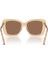 BE4456 4167/73 54 Güneş Gözlüğü 2