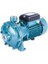 2tcp 25/140 Çift Kademeli Monoblok Pompa 220 Volt1.5 Hp 1