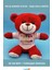 Happy Birthday Tişörtlü Kırmızı Peluş Ayıcık 25CM 1