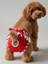 Red Frilly Dişi Köpek Regl Külotu | Köpek Donu | Köpek Iç Çamaşırı | Ayarlanabilir Bağcıklı | Küçük Irklar Için 1