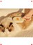 Şarjlı Buharlı Kedi Köpek Tüy Bakım Tarağı - Masaj Etkili 4