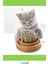 Kedi Nanesi Ile Rahatlatıcı Oyun Topu 5 cm 4
