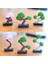 Katlanır Bonsai 3