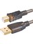 Powermaster PM-29486 Şeffaf Chipset 10 Metre USB 2.0 Yazıcı Kablosu 4