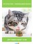 Kedi Otu Oyun Topu 5 cm Dayanıklı Eğlence 1