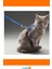 Ayarlanabilir Renkli Kedi Tasması 120CM 5
