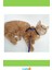 Ayarlanabilir Kedi Boyun ve Göğüs Tasması Rahat ve Güvenli 3