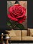 Kırmızı Gül Su Damlası Dekoratif Kanvas - Mdf Ahşap Tablo 4