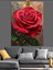 Kırmızı Gül Su Damlası Dekoratif Kanvas - Mdf Ahşap Tablo 5