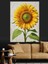 Büyük Ayçiçeği Sarı Çiçek Dekoratif Kanvas - Mdf Ahşap Tablo 4