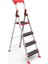 Saraylı Professional Alüminyum Merdiven 3+1 1