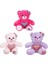 Renkli Sevimli Peluş Ayıcık 26 Cm-1 Adet Stokta Olan Gönderilir 2