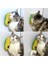Silikon Kaşıyıcılı Kedi Otu 4