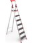 Saraylı Professional Alüminyum Merdiven 6+1 1
