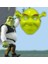 Yeşil Shrek Maskesi 2