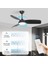 Kablosuz Tavan Vantilatörü Lambası Uzaktan Kumanda Kiti Ev Aydınlatma Sistemleri Için Zamanlama Fonksiyonlu Işık Kısıcı Us Plug (Yurt Dışından) 4