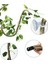 Sürüngen Bend-A-Branch Vines Esnek Bırakır Pet Habitat Dekor Tırmanıcı Orman Tırmanma Için Uzun Üzümler Gecko Kertenkele (Yurt Dışından) 1