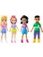 FWY19 Polly Pocket ve Arkadaşları Serisi / +4 Yaş 2