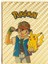 Pokemon Starter Kartları Gold 55'li Paket 3