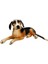 Sunman Peluş Yatan Köpek Beagle 1