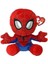 Spiderman Floopy Reg 1