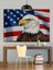 Amerikan Bayrağı Üzerinde Kartal Dekoratif Kanvas - Mdf Ahşap Tablo 5