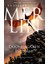 Merlin 7. Kitap - Doomraga’nın Intikamı 1