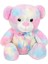 Peluş Ayı Raınbow 45CM Pembe 4