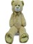 Peluş 50CM Uzun Parlak Ayı 1