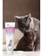 Kitten Paste Yavru Kediler Için Multi Vitamin Kas Gelişimi Destekleyici Malt Macun 100 gr 7