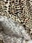 Kız Çocuk Yakalı Leopar Desenli Elbise 4