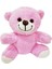 Pembe Peluş Oyuncak Ayıcık 1