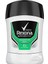Rexona Men Quantum Dry Erkek Anti-Perspirant Stick Deodorant (50 Ml) 2