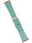 Apple Watch Uyumlu Deri Kordon 42-44-45MM Brn7 Yeşil 3