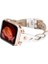 Apple Watch Uyumlu Deri Kordon Wanda 38-40-41MM Rt F3 1