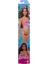 DWJ99 Barbie Tatilde Bebekleri 3