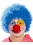 Mavi Renk Kıvırcık Afro Palyaço Seti 1