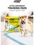 Köpek Eğitim Pedi 60X90 5 Katmanlı 60 Adet 3