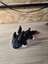 Ejderhanı Nasıl Eğitirsin Mini Toothless Eklemli Oyuncak 2